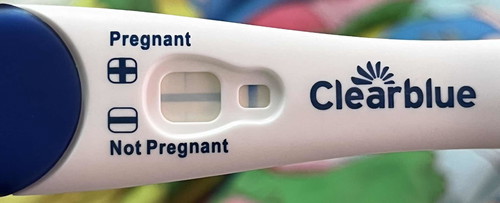 Am I Pregnant?
