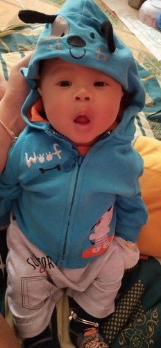 น้องพอตเตอร์