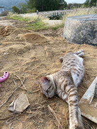 Rungradsamee profile icon