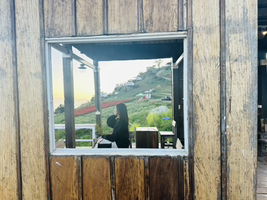 Tanaporn profile icon