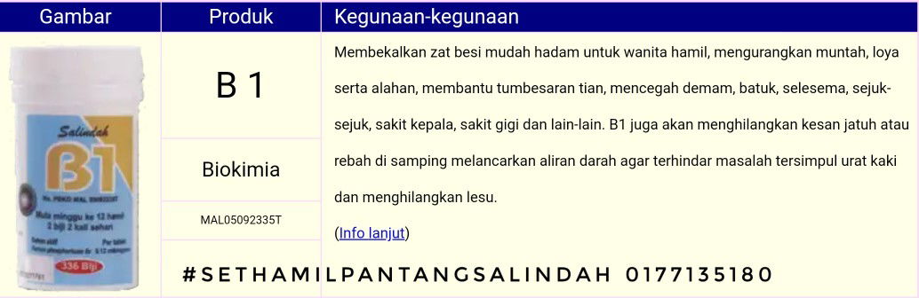 Kebaikkan B1 Minggu Ke 12 Ke 24 - Salindah