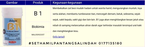 Kebaikkan B1 Minggu Ke 12 Ke 24 - Salindah