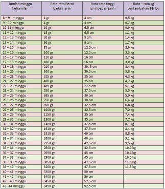 Berat janin 233g 18w lbih..normal ke..?