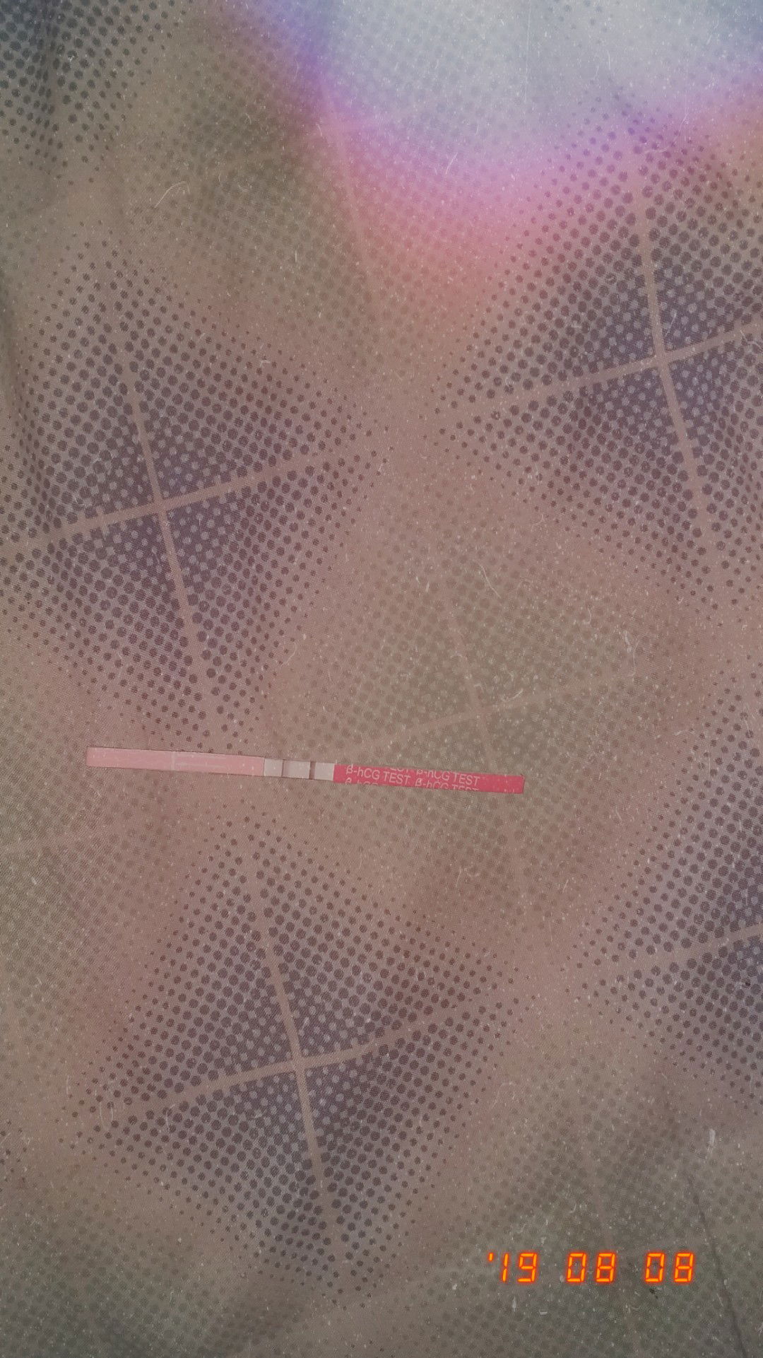 เเผ่นตรวจตั้งครรถ์