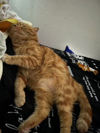 กมลวรรณ ผึ้งกลั่น profile icon