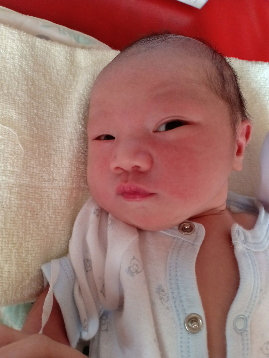 RiiZa Navarro profile icon