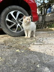 Ilma Kurnia Suci profile icon