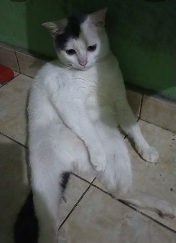 Siti Hana profile icon