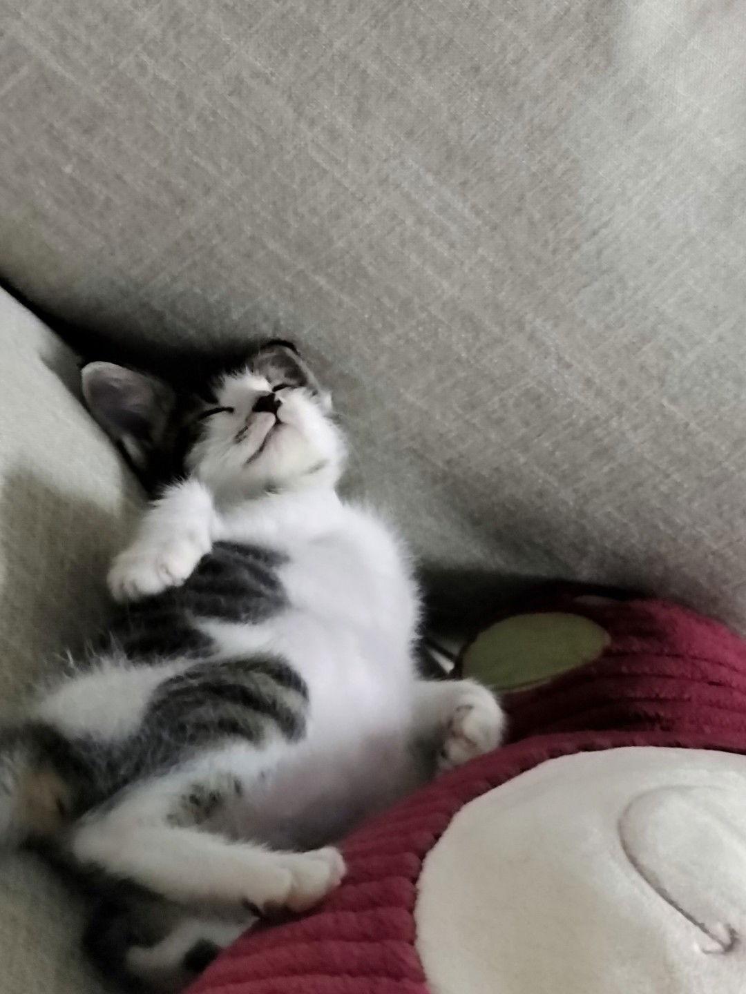 mommy kz profile icon