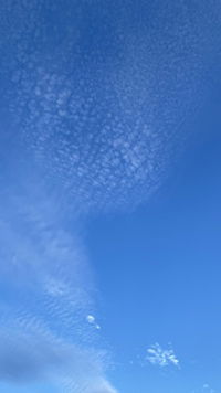 charine profile icon