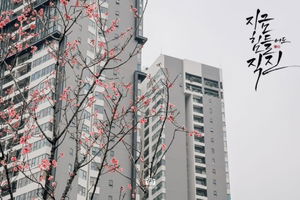 Oanh Kiều Trần profile icon