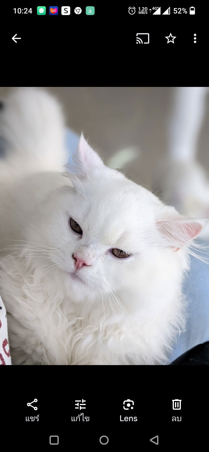 Lookpad profile icon