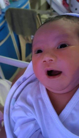 Divine Dael profile icon