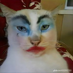 Eliana Purwandari profile icon