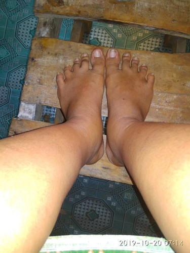 kaki
