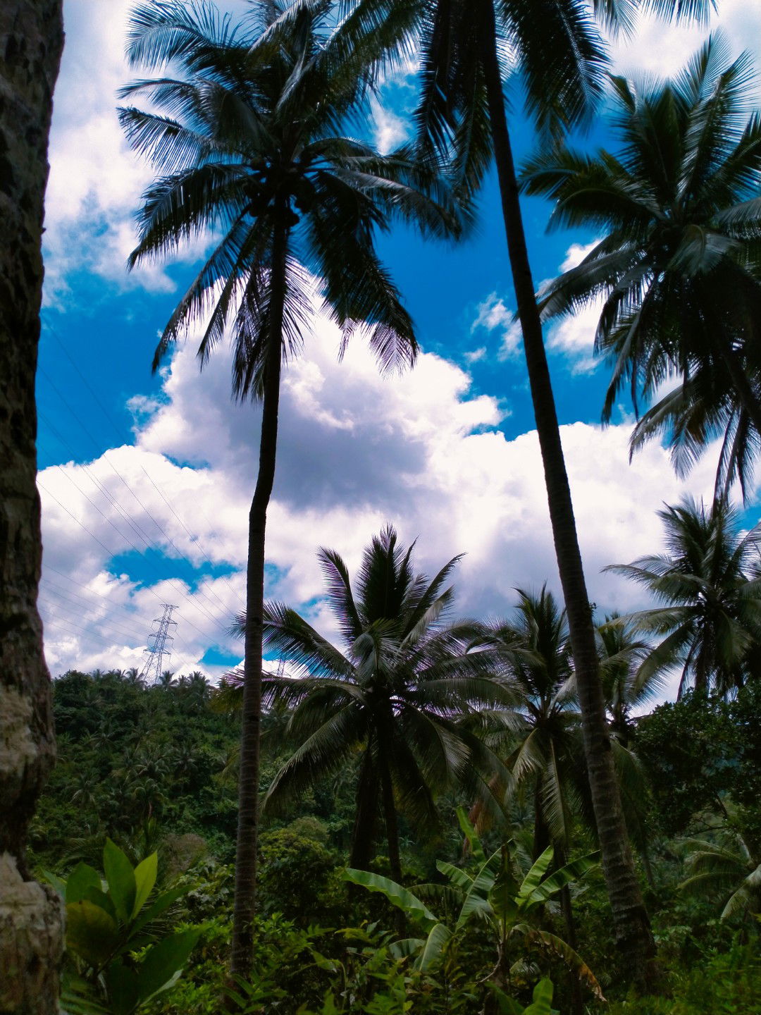 Rona Mae Patria profile icon