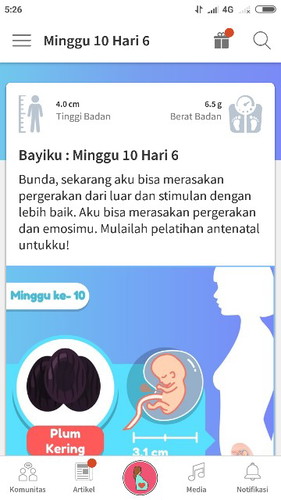 perkembangan janin