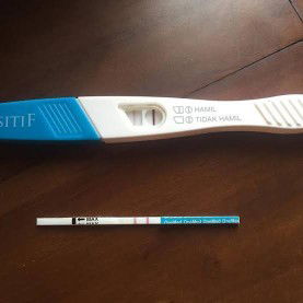 CARA MEMBACA TESTPACK YG BENAR