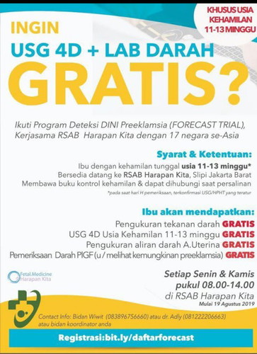 USG 4D Gratis