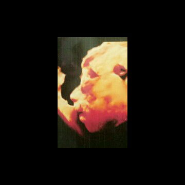 Desti Fitria profile icon