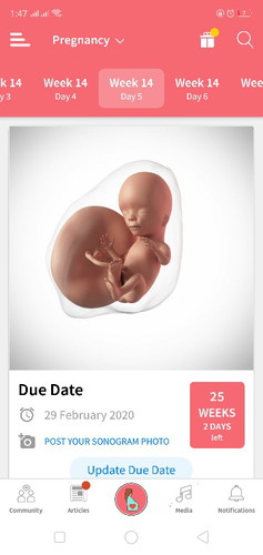 Anak Syurga Ibu&Ayah