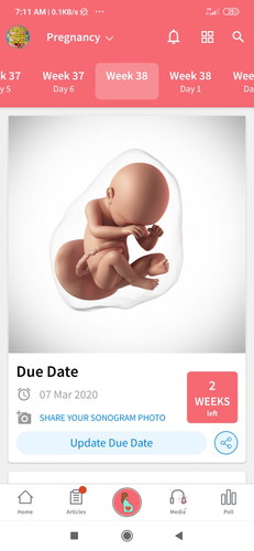 menanti my baby kluar