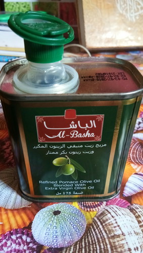 MPASI