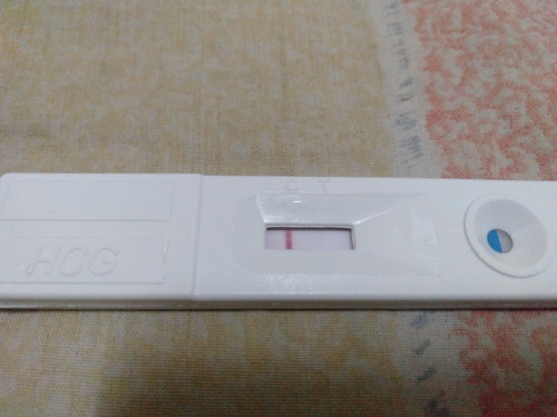 ตั้งครร