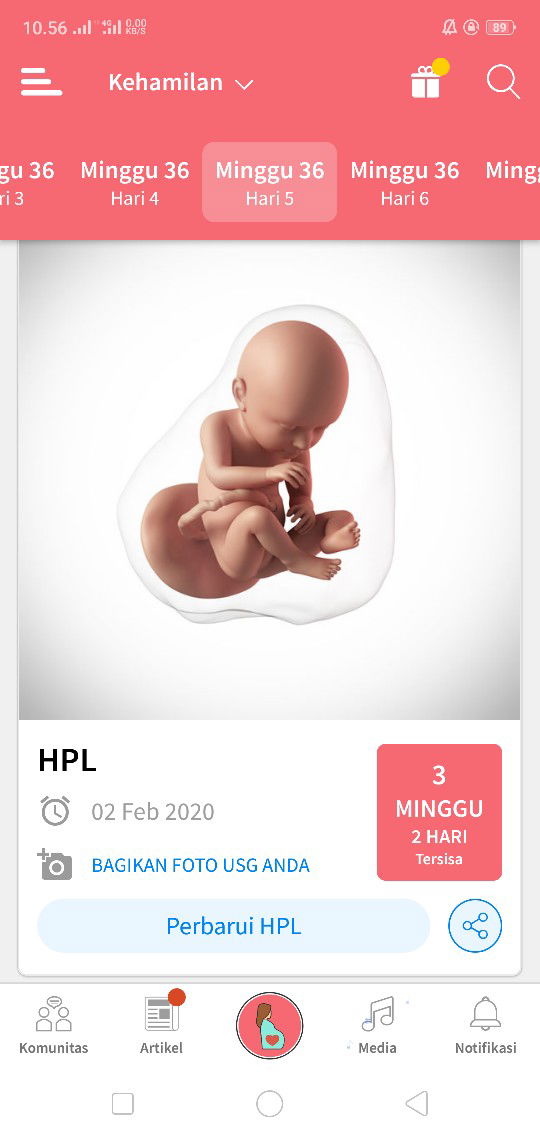 Hpl 02 Februari 2020