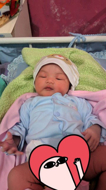 HPL 8 Februari (PENUH DRAMA)?