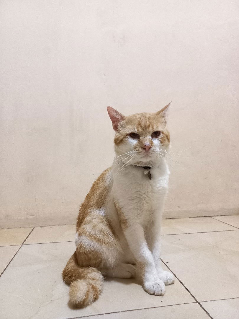 Dwi Ayu R profile icon