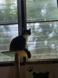 Natchaya profile icon