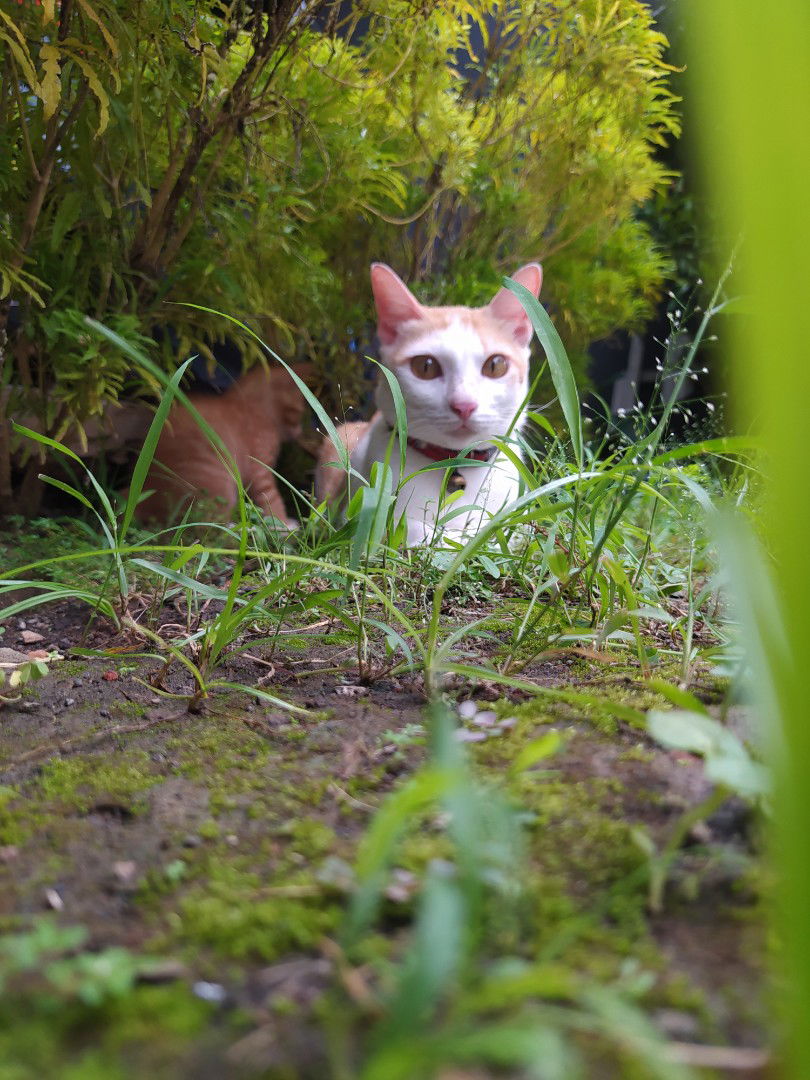 Maya Lestari profile icon