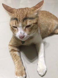 Namo Chudapha profile icon