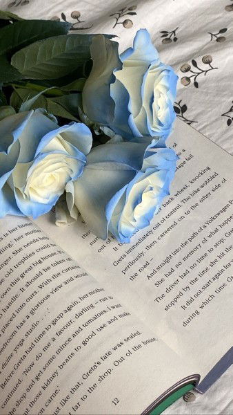 Thương Hilary profile icon