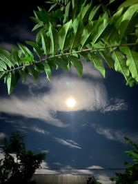 เป็ด น้อย profile icon