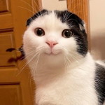 SIRIPORN LEEHAN profile icon