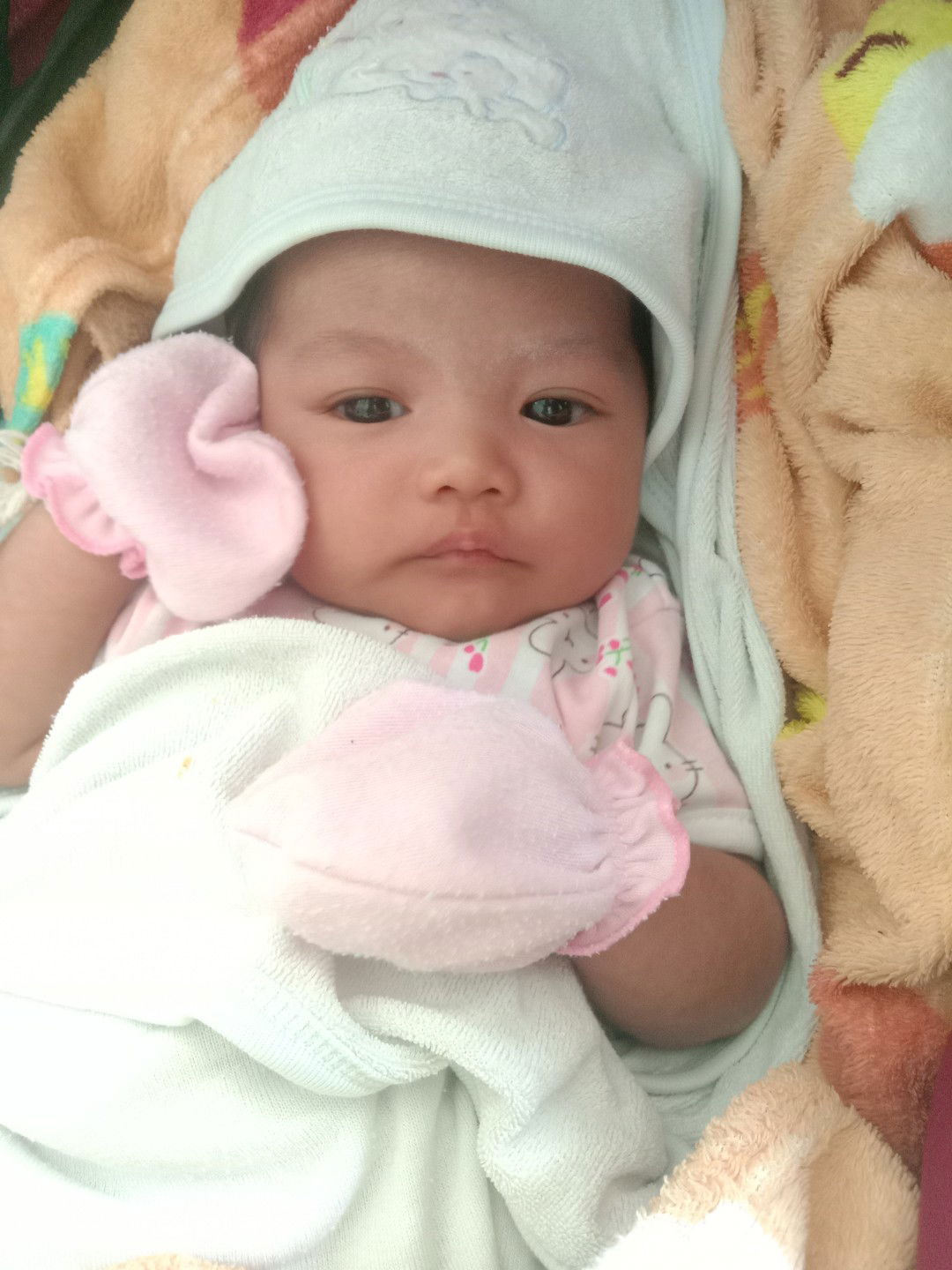 natsuda profile icon