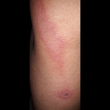 minta tolong saran ya buibu