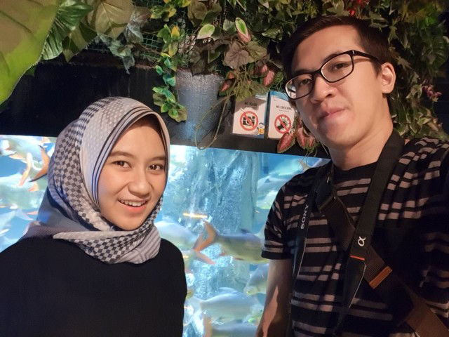 Ngidam Lihat Binatang