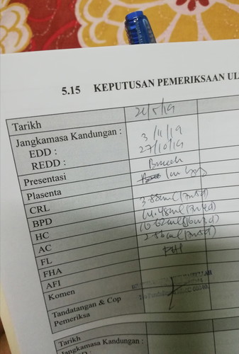 ibu hamil