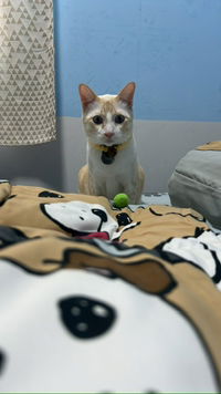 ksk pichaya profile icon