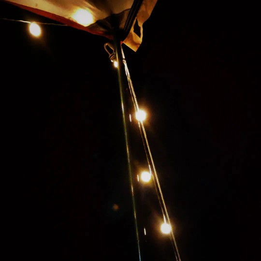 สโรชา รอดลอยทุกข์ profile icon