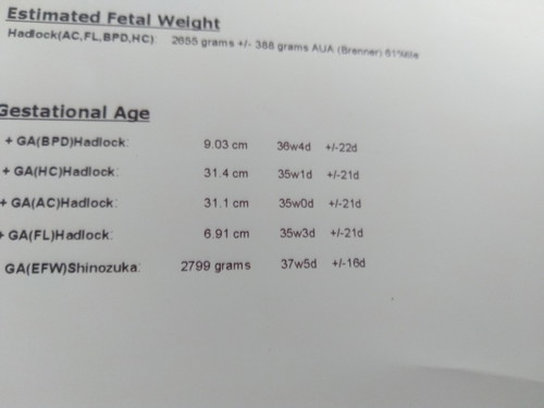 ตั้งครรภ์