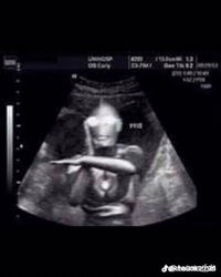 ศศิวิมล สุขเกษม profile icon