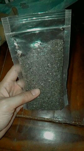 manfaat chia seed pada anak?