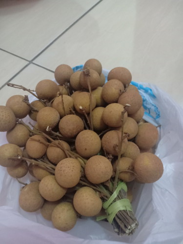 buah lengkeng