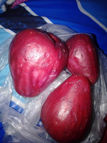 jambu