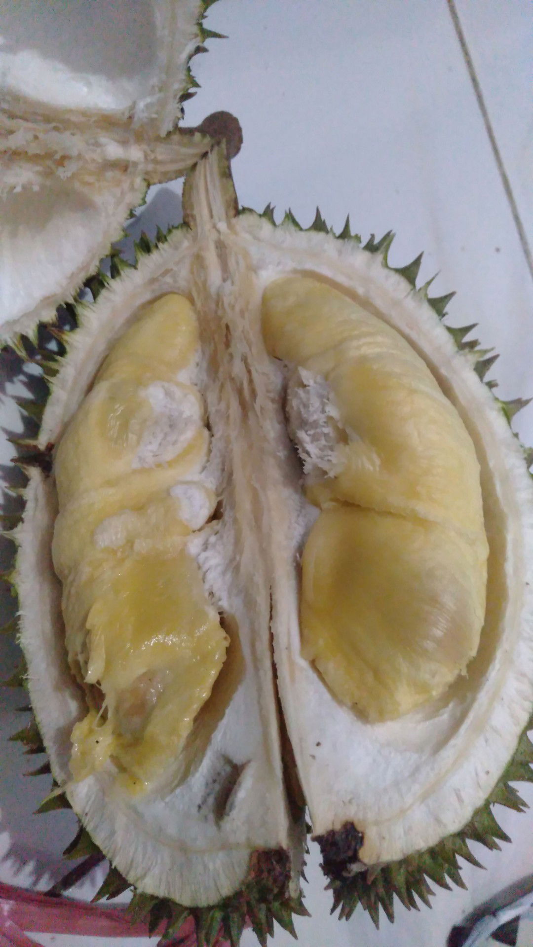 durian