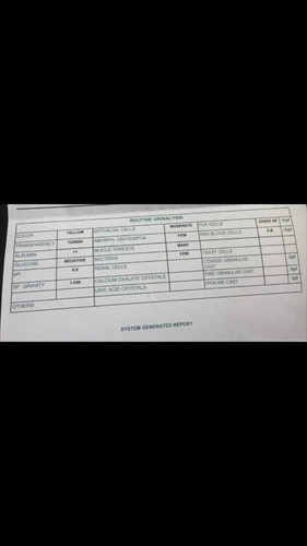 urinalysis result